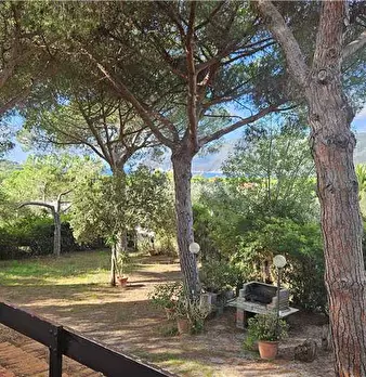 Foto annuncio 10