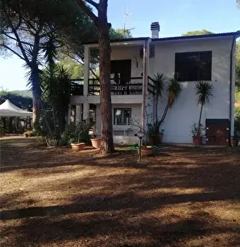 Foto annuncio 11