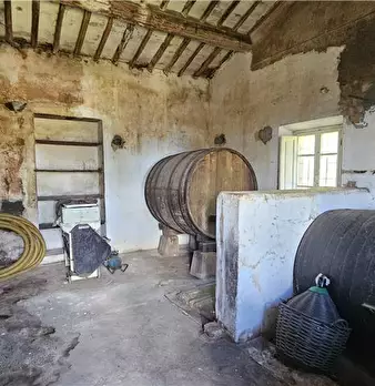 Foto annuncio 6