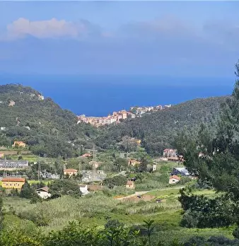 Foto annuncio 7