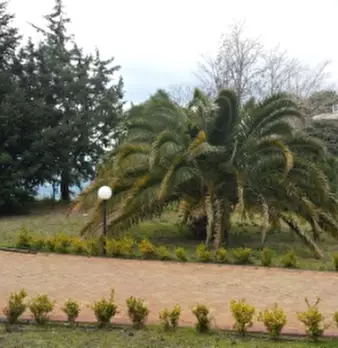 Foto annuncio 9