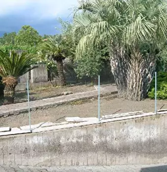 Foto annuncio 10
