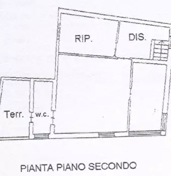 Foto annuncio 7
