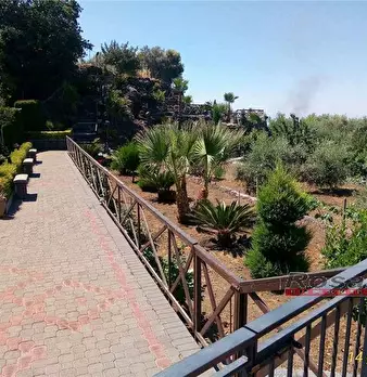 Foto annuncio 8
