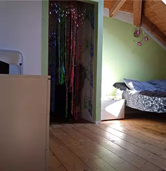Foto annuncio 7