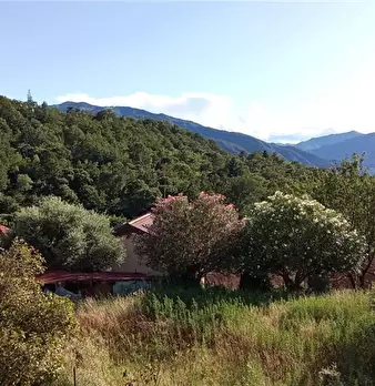 Foto annuncio 19
