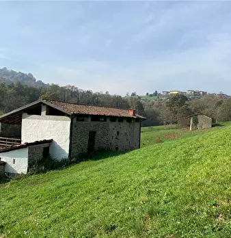 Foto annuncio 13