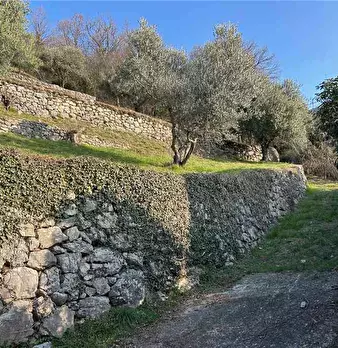 Foto annuncio 16