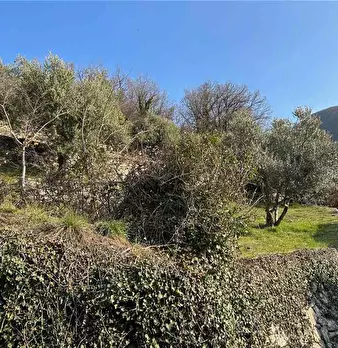 Foto annuncio 17