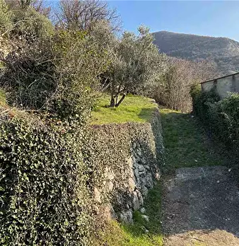 Foto annuncio 18