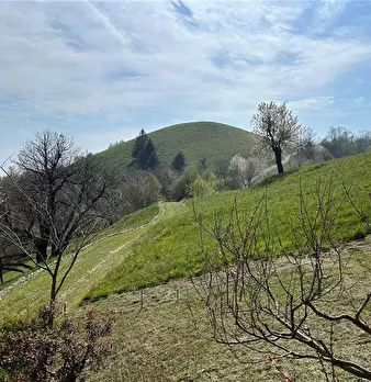 Foto annuncio 19