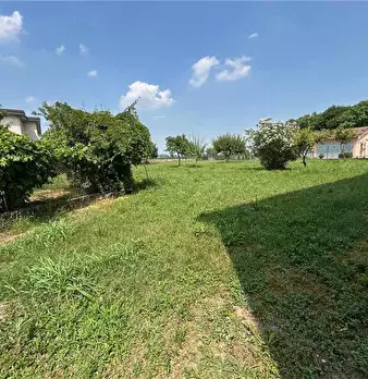 Foto annuncio 17