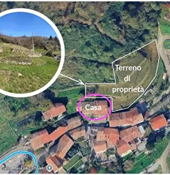 Foto annuncio 19