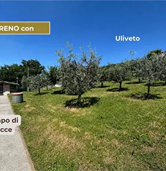Foto annuncio 17