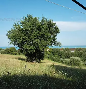 Foto annuncio 37