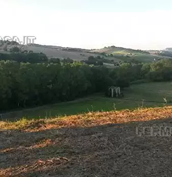 Foto annuncio 6