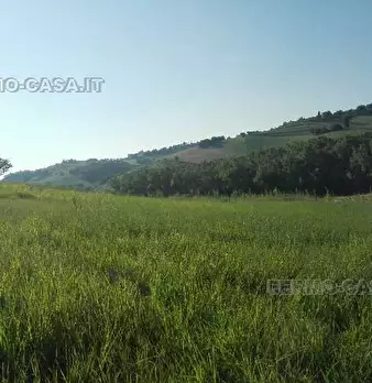 Foto annuncio 7