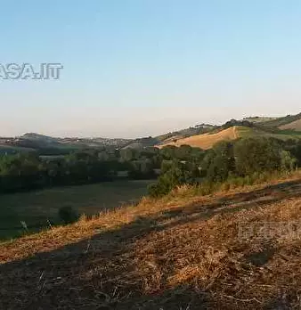 Foto annuncio 9