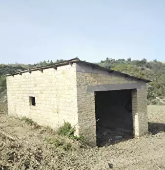 Foto annuncio 18