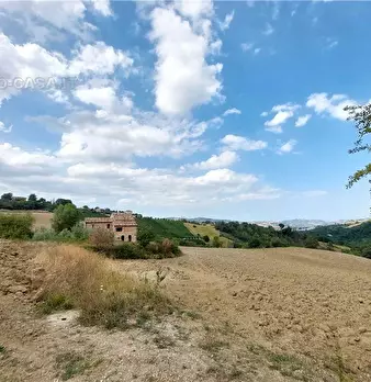 Foto annuncio 25
