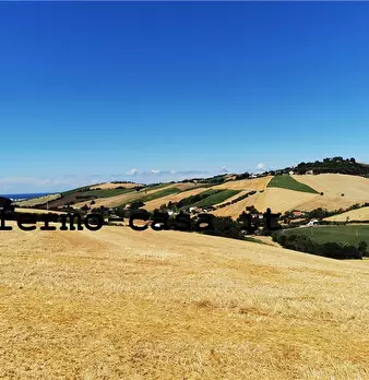 Foto annuncio 29