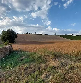 Foto annuncio 17