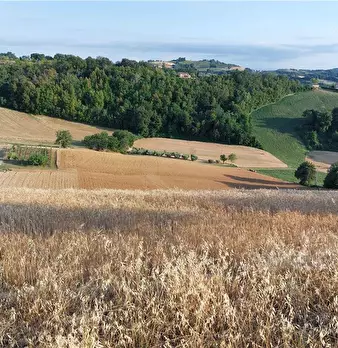Foto annuncio 18