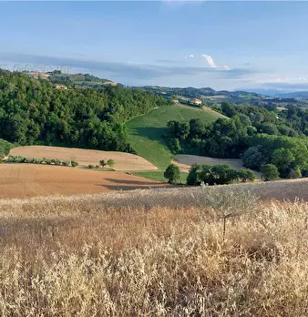 Foto annuncio 19