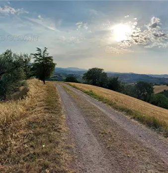Foto annuncio 20
