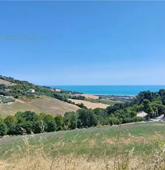 Foto annuncio 18