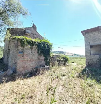 Foto annuncio 17