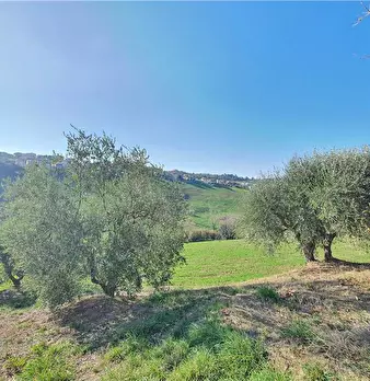 Foto annuncio 24