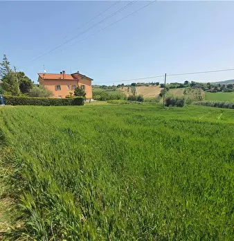 Foto annuncio 21
