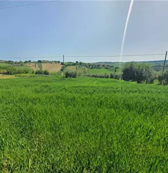 Foto annuncio 23