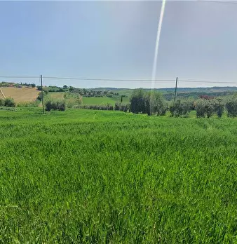 Foto annuncio 25