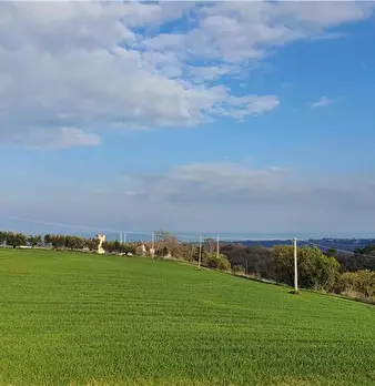 Foto annuncio 38
