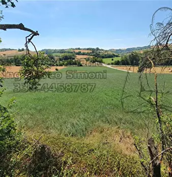 Foto annuncio 29