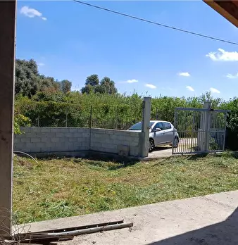 Foto annuncio 8