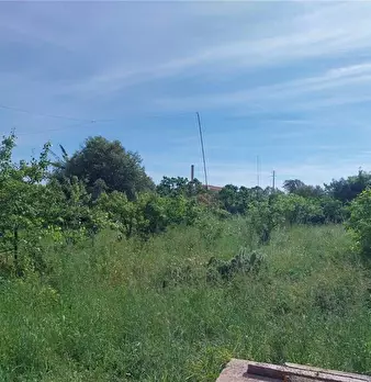 Foto annuncio 9