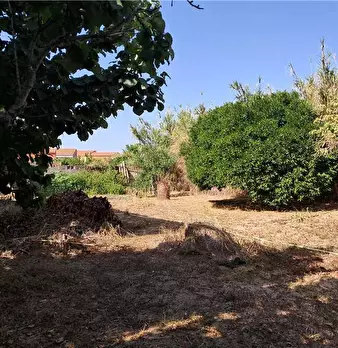 Foto annuncio 10