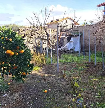 Foto annuncio 9