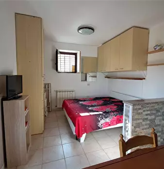 Foto annuncio 7
