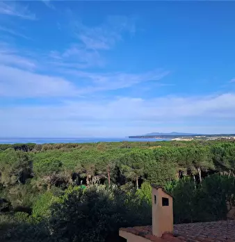 Foto annuncio 10