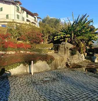 Foto annuncio 37