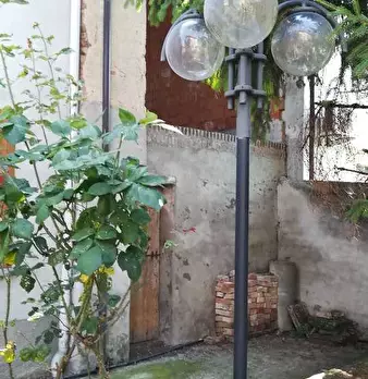Foto annuncio 8