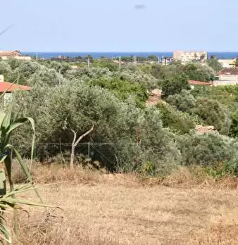 Foto annuncio 15