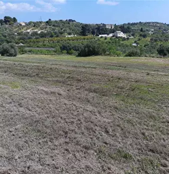 Foto annuncio 19