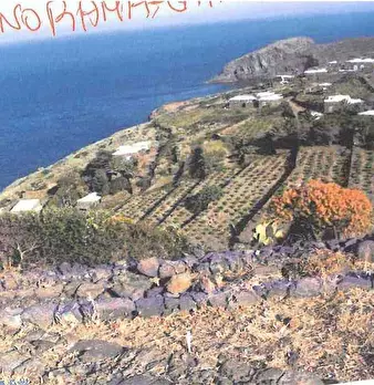 Foto annuncio 16