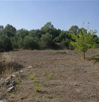 Foto annuncio 18