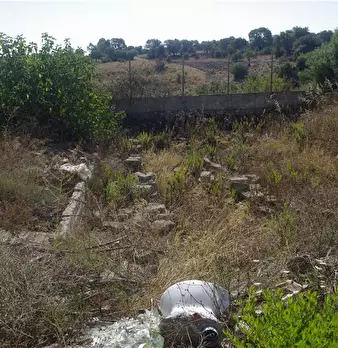 Foto annuncio 20